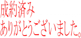３